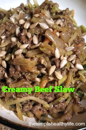 beef slaw 2